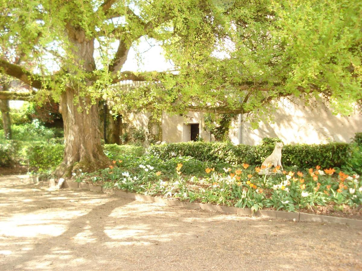 Domaine De Planchoury Bed and Breakfast Saint-Michel-sur-Loire Buitenkant foto